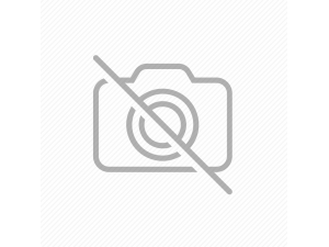 Kaktüs Bakımı Nasıl Yapılır? | Sağlıklı Kaktüsler İçin İpuçları