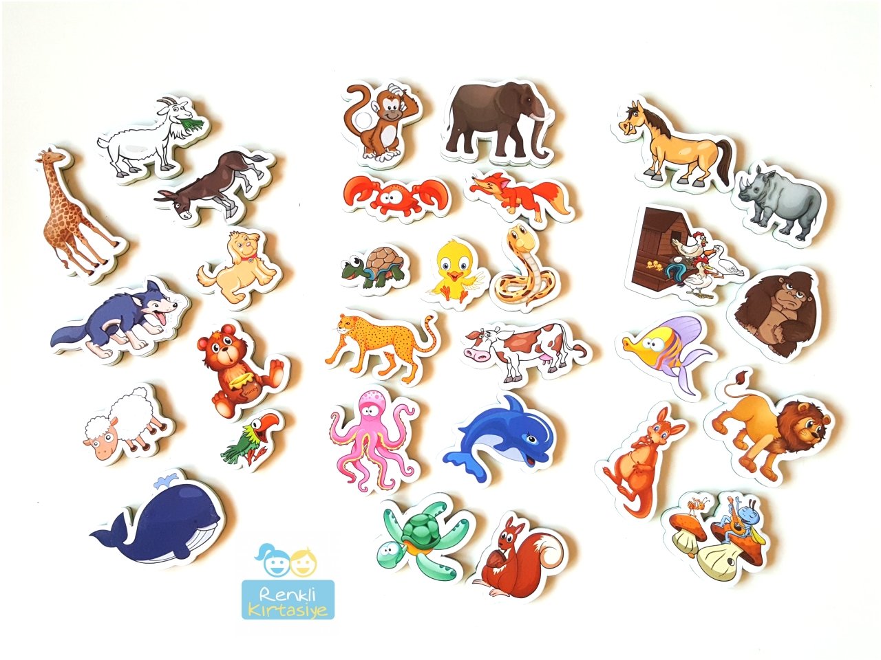 Eğitici Çocuk Magnetler